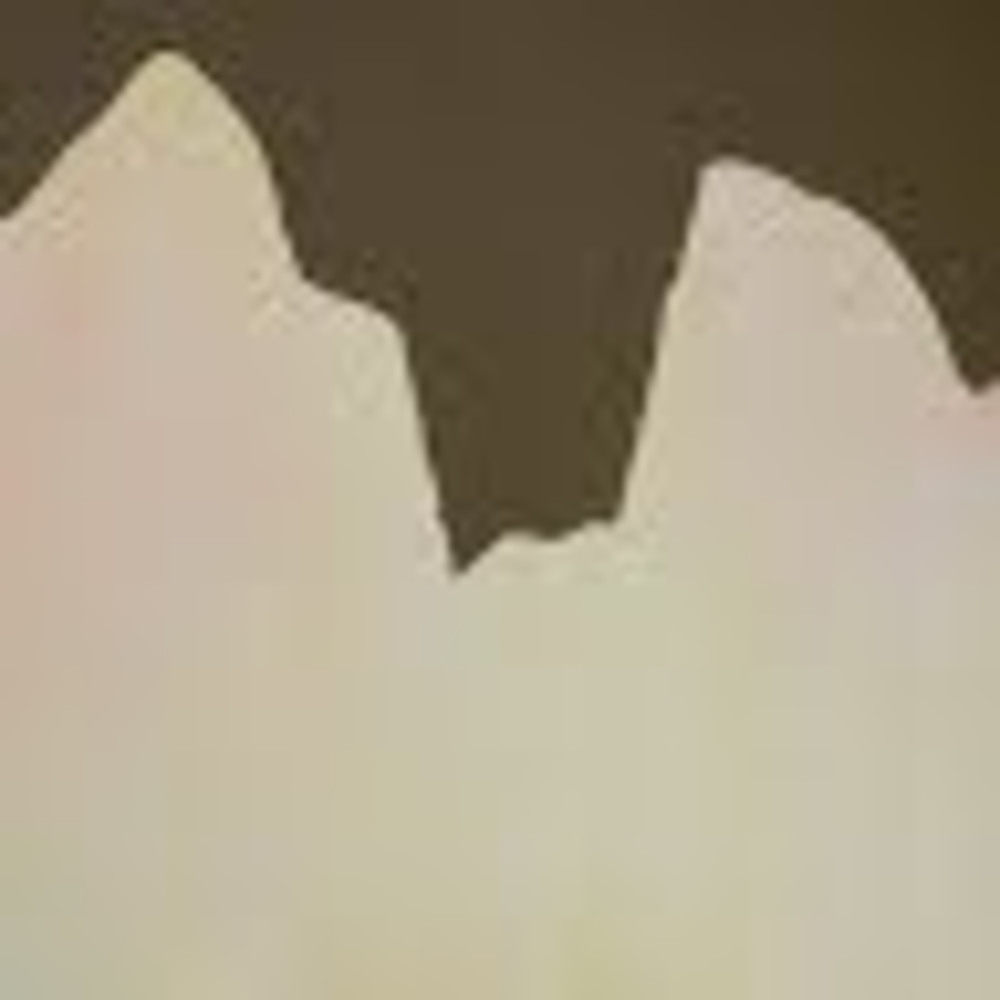 Meet your Posher, Amelia